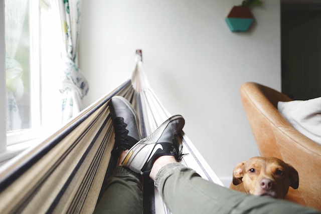 Why Do I feel Guilty when I relax?

This is an image of someone laying in a hammock and with their dog looking at them.